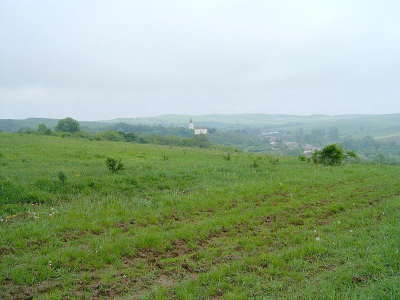 2010.05.08 (009).jpg